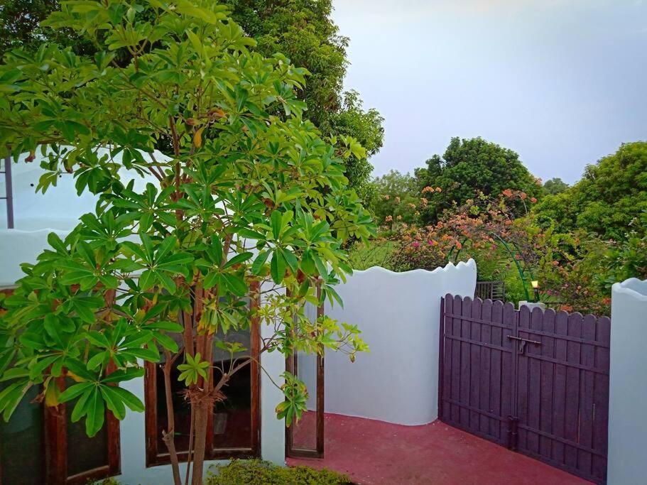 Mamta'S Home- Kensville Nanodra Exterior photo